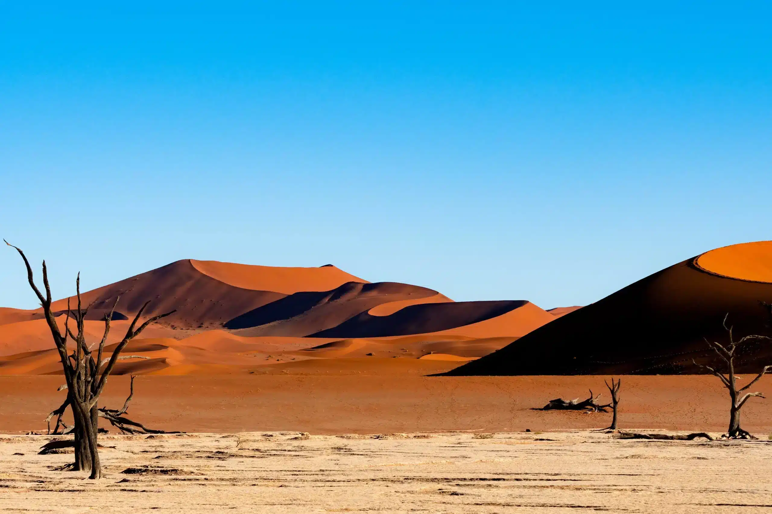 Namibia Travel - Deserts, Safaris & Spectacular Landscapes | Travel ...