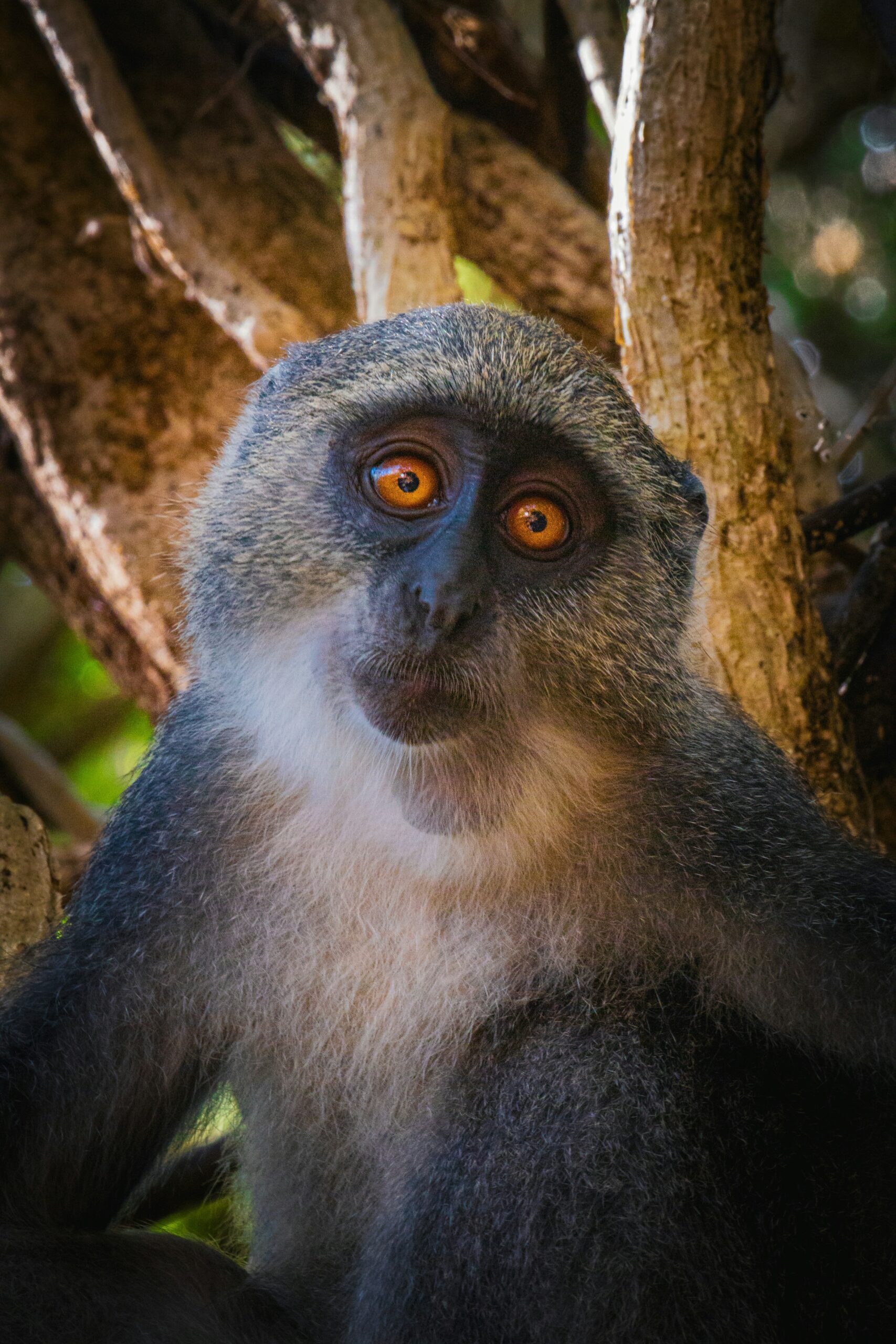 eliott-chatauret-k9b5JB1b2kY-unsplash