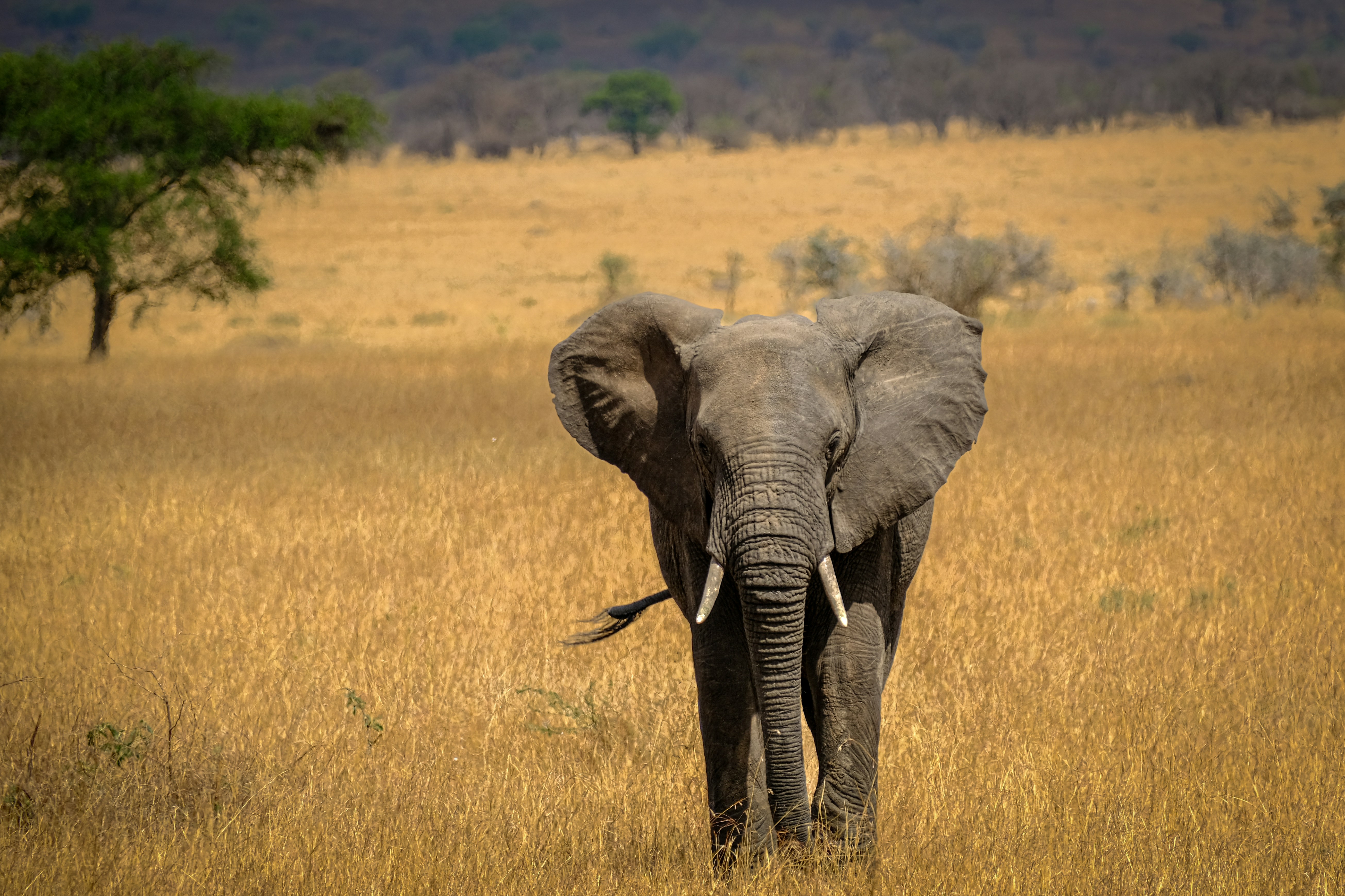 gijs-tool-KeKMk-Sk9ko-unsplash