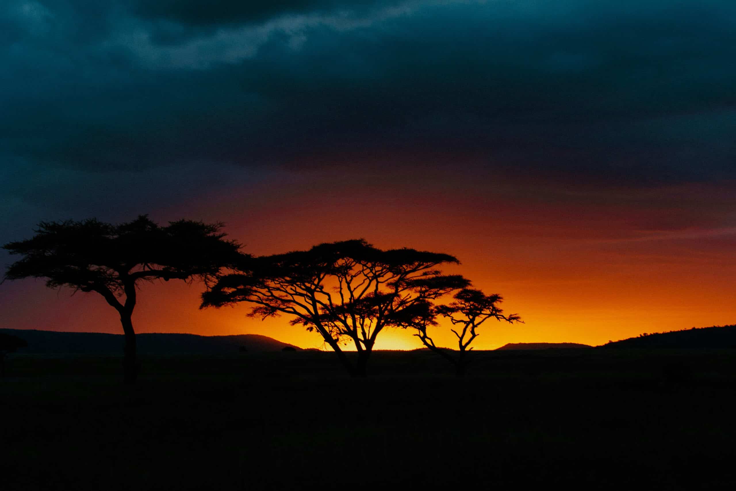 hana-el-zohiry-wEkp5JAAS7E-unsplash