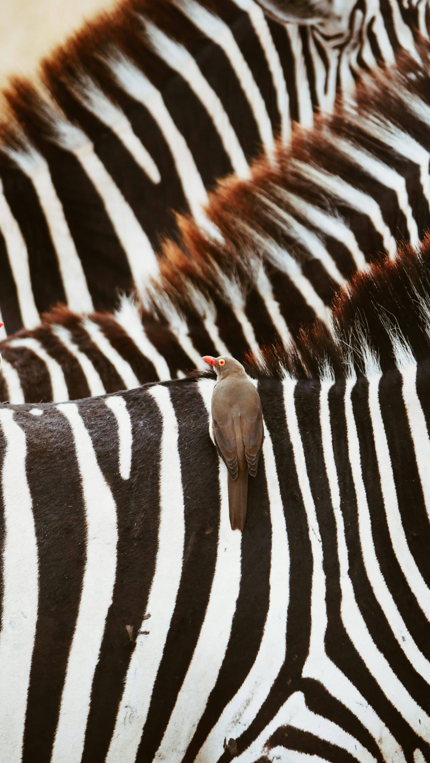 maurits-bausenhart-sDJH3TO1IfU-unsplash