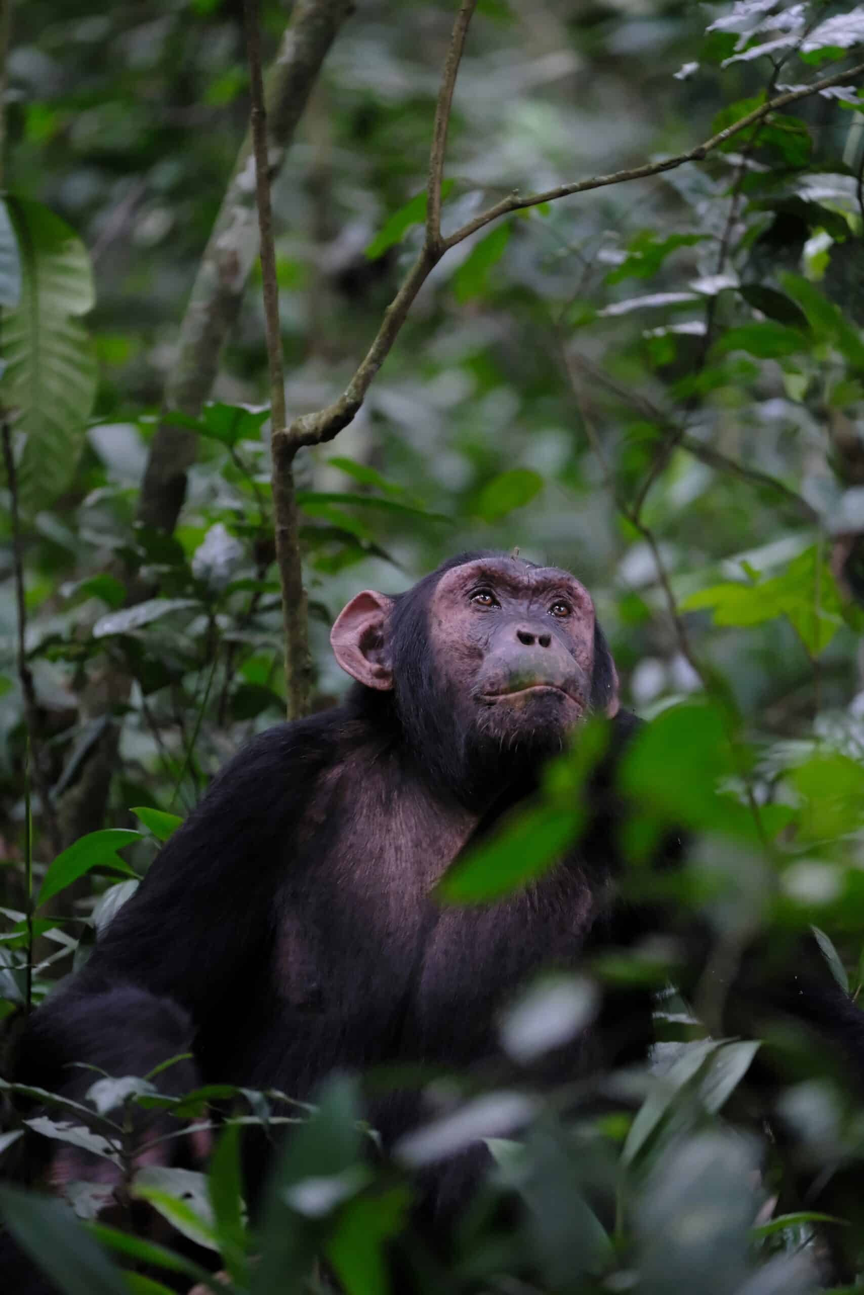 simone-dinoia-LbrmBYDnWQI-unsplash