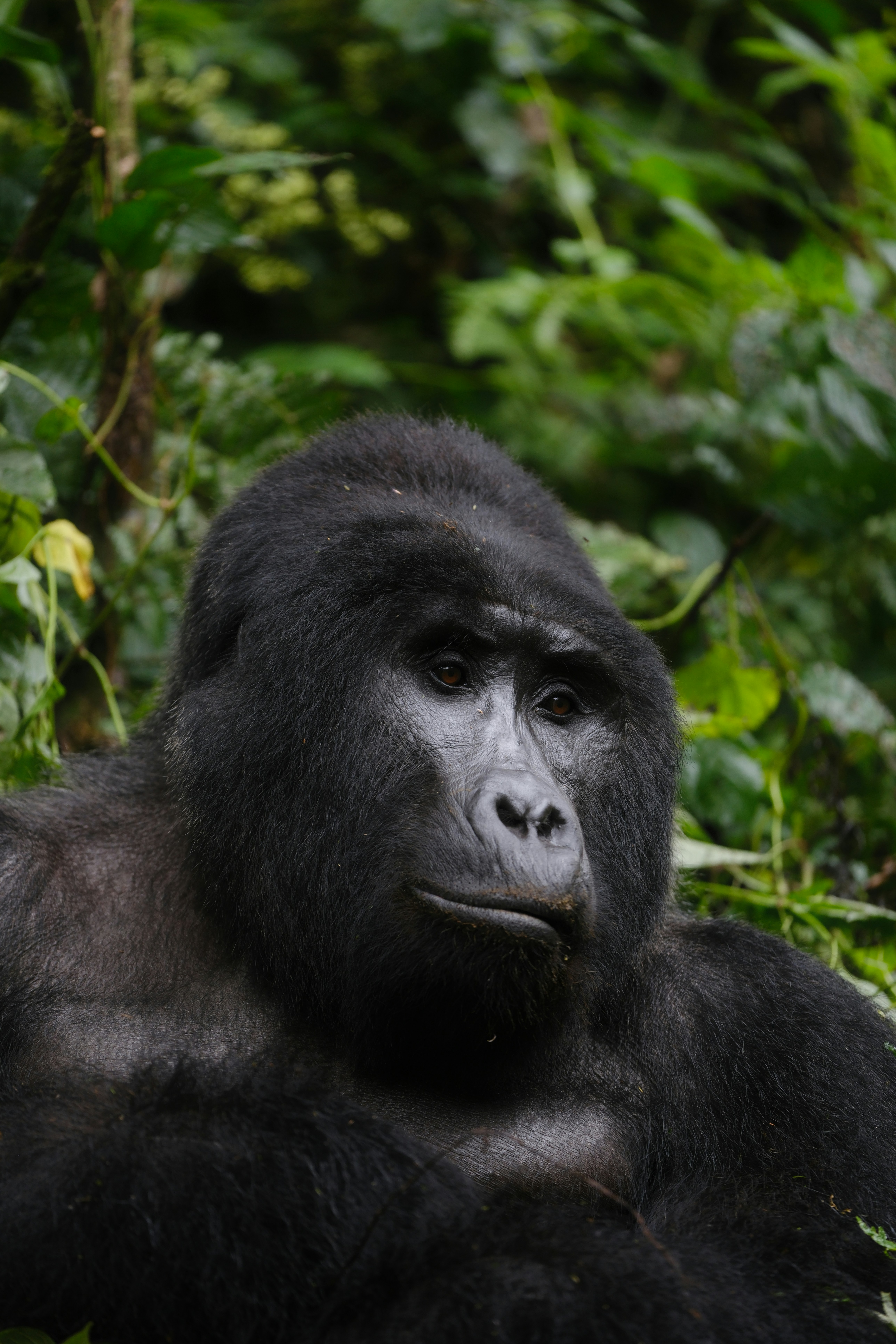 simone-dinoia-x7Aizp5YZX0-unsplash