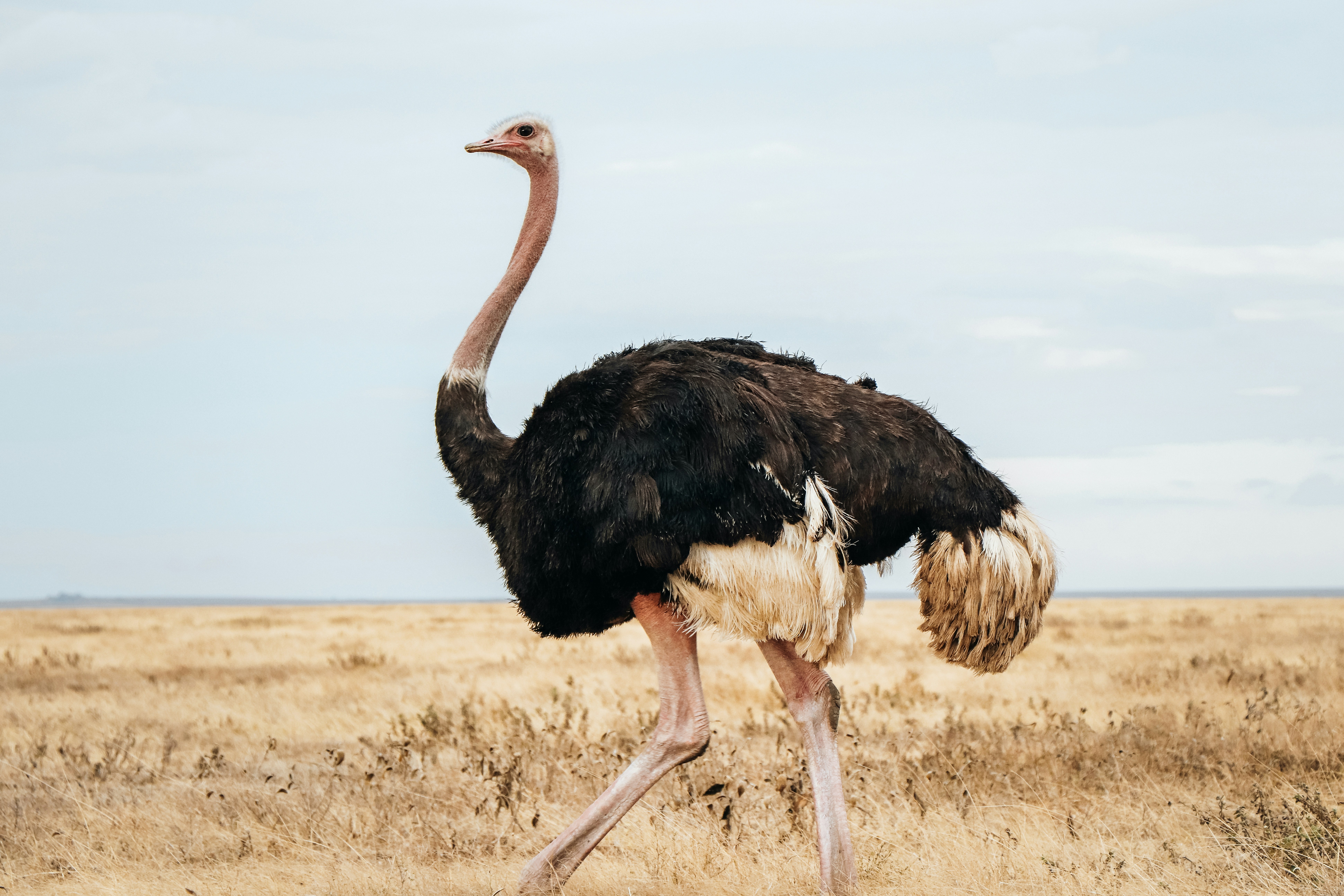 team-mfina-n_MZ5snB8qk-unsplash