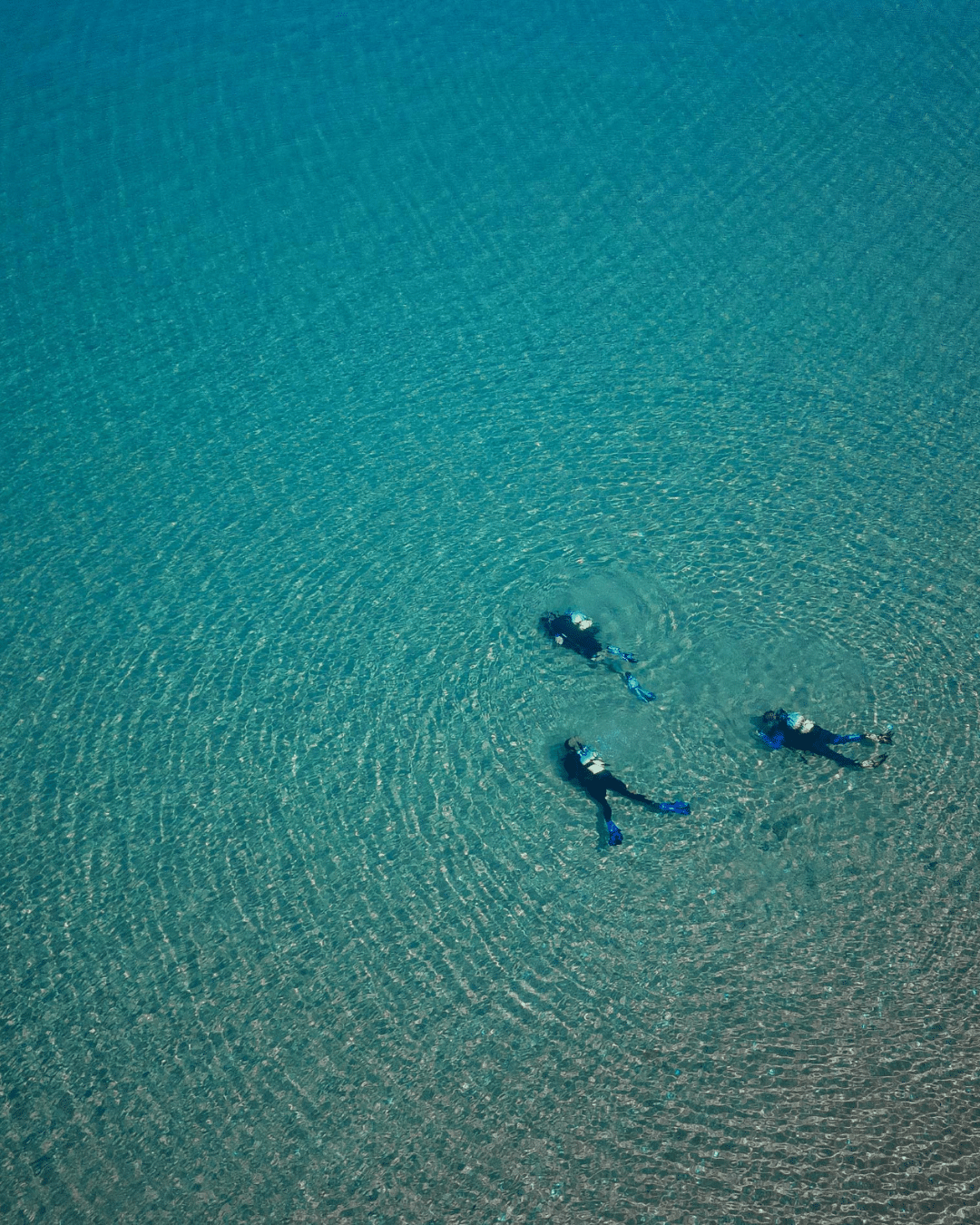 People snorkelling in lake malawi