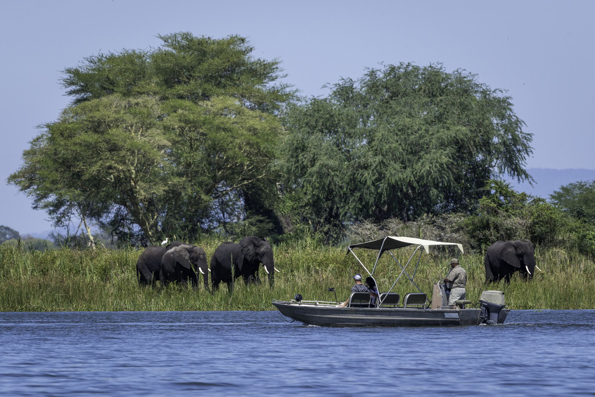 alt="Safari adventure in Liwonde national park – part of our Malawi highlights tour"