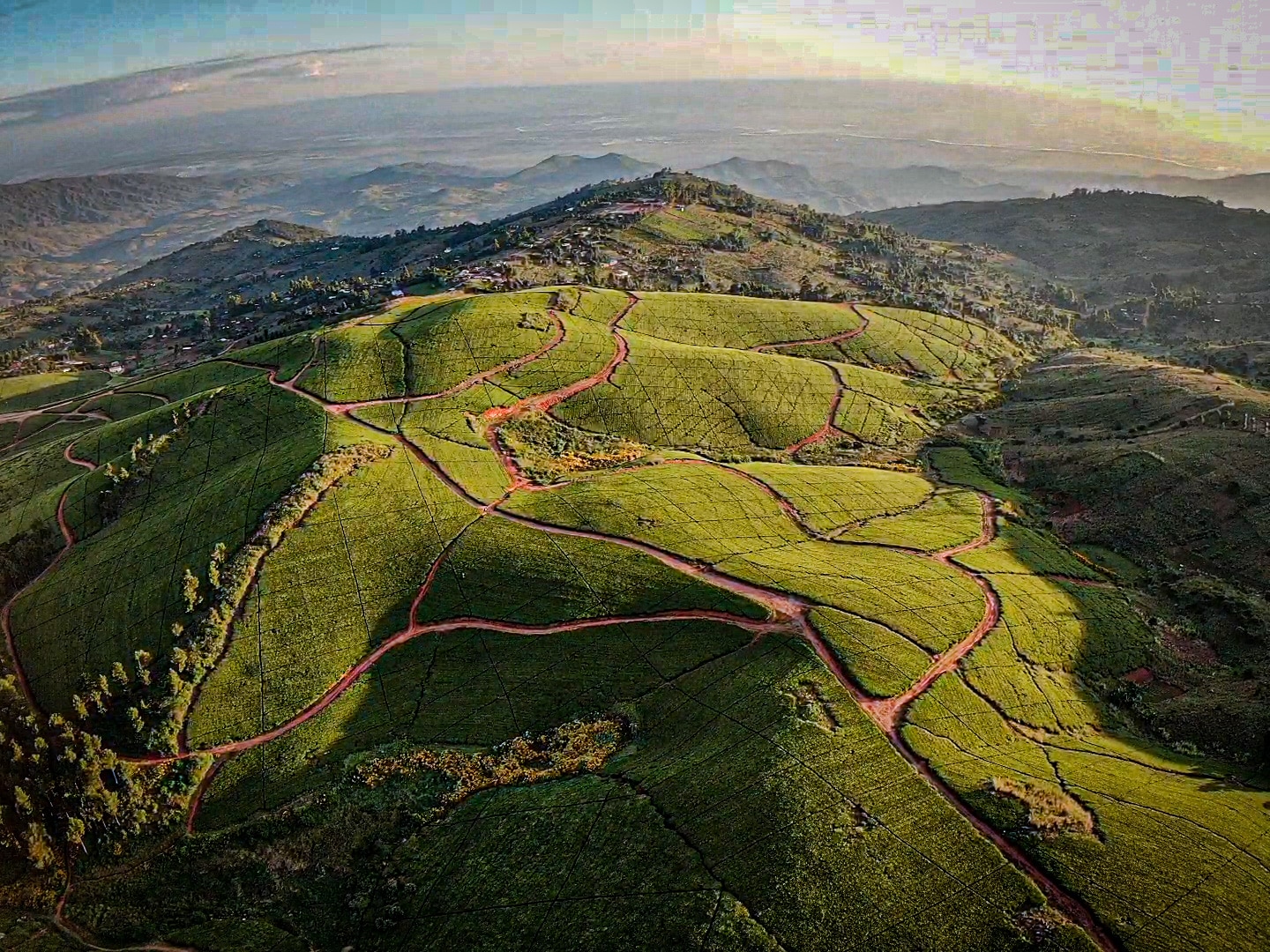 alt="mountains from Satemwa Tea Estate-explore malawi highlights-travel with la french"