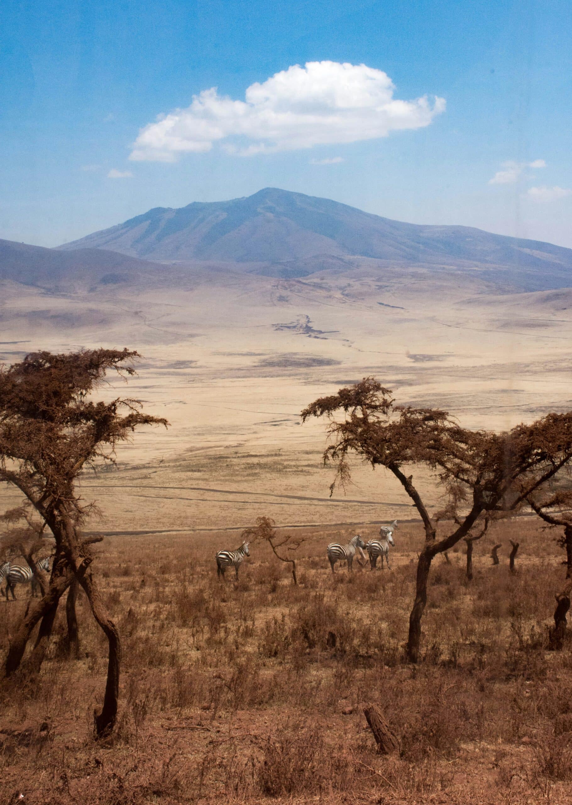 ngorongoro national park-kenya-travel with la french