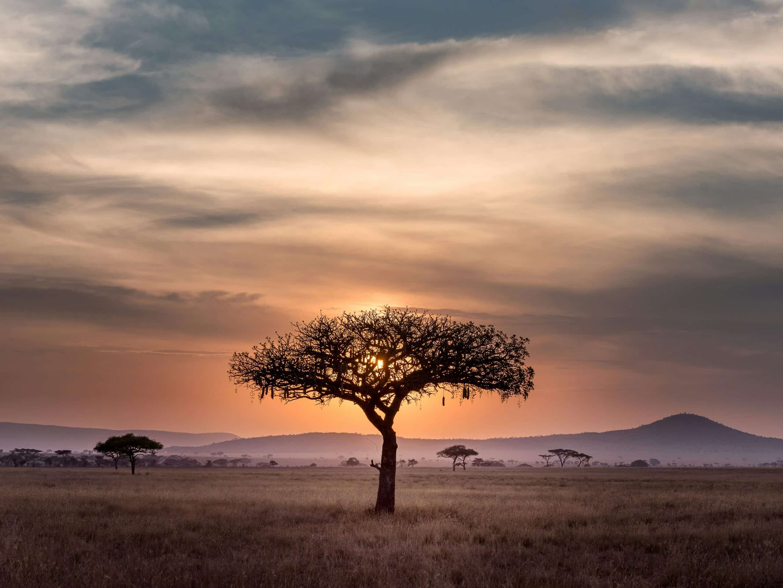 sunset over the savannah-tanzania-travel with la french