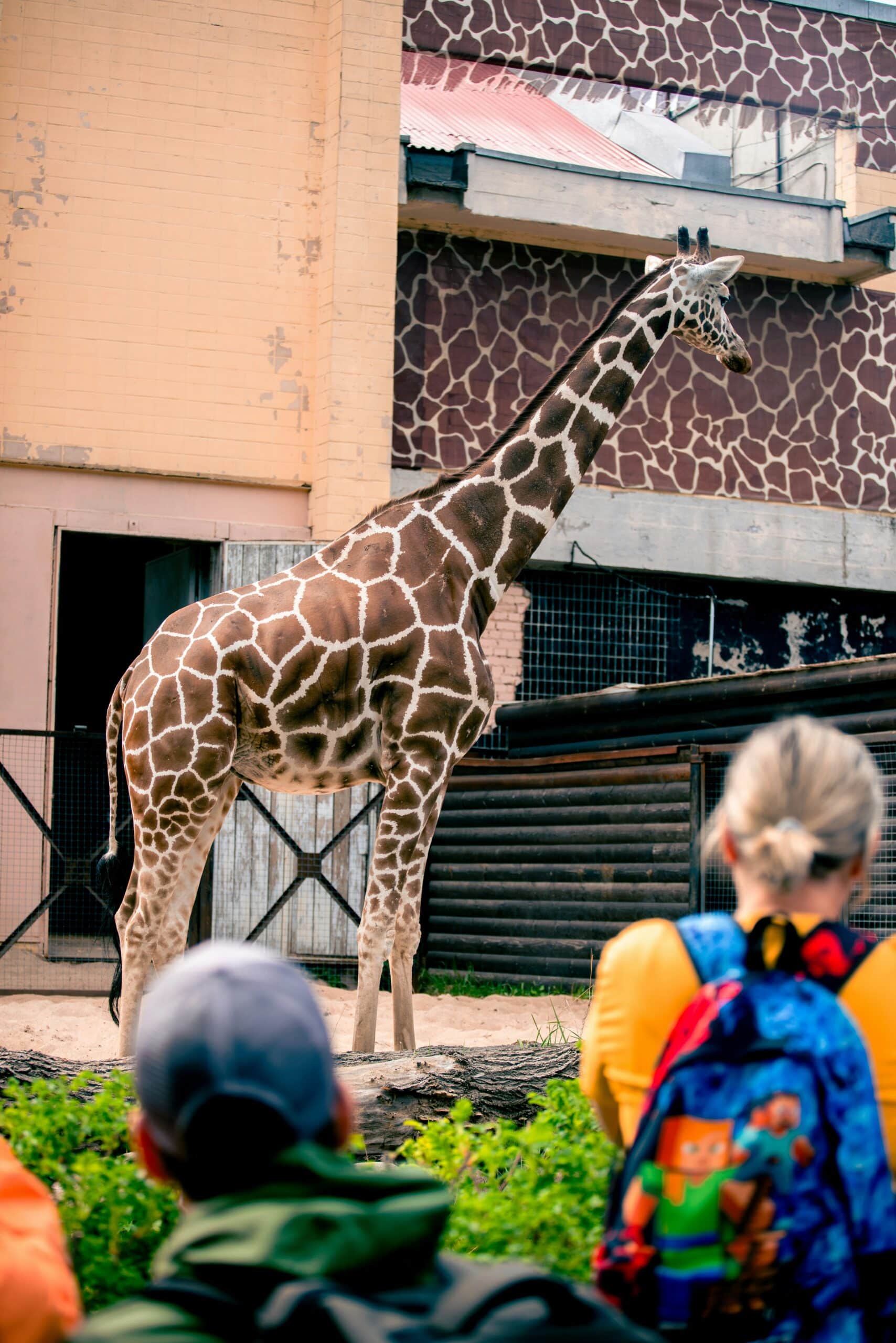 children looking at giraffe at the Giraffe Centre in Nairobi-kenya-travel with la french