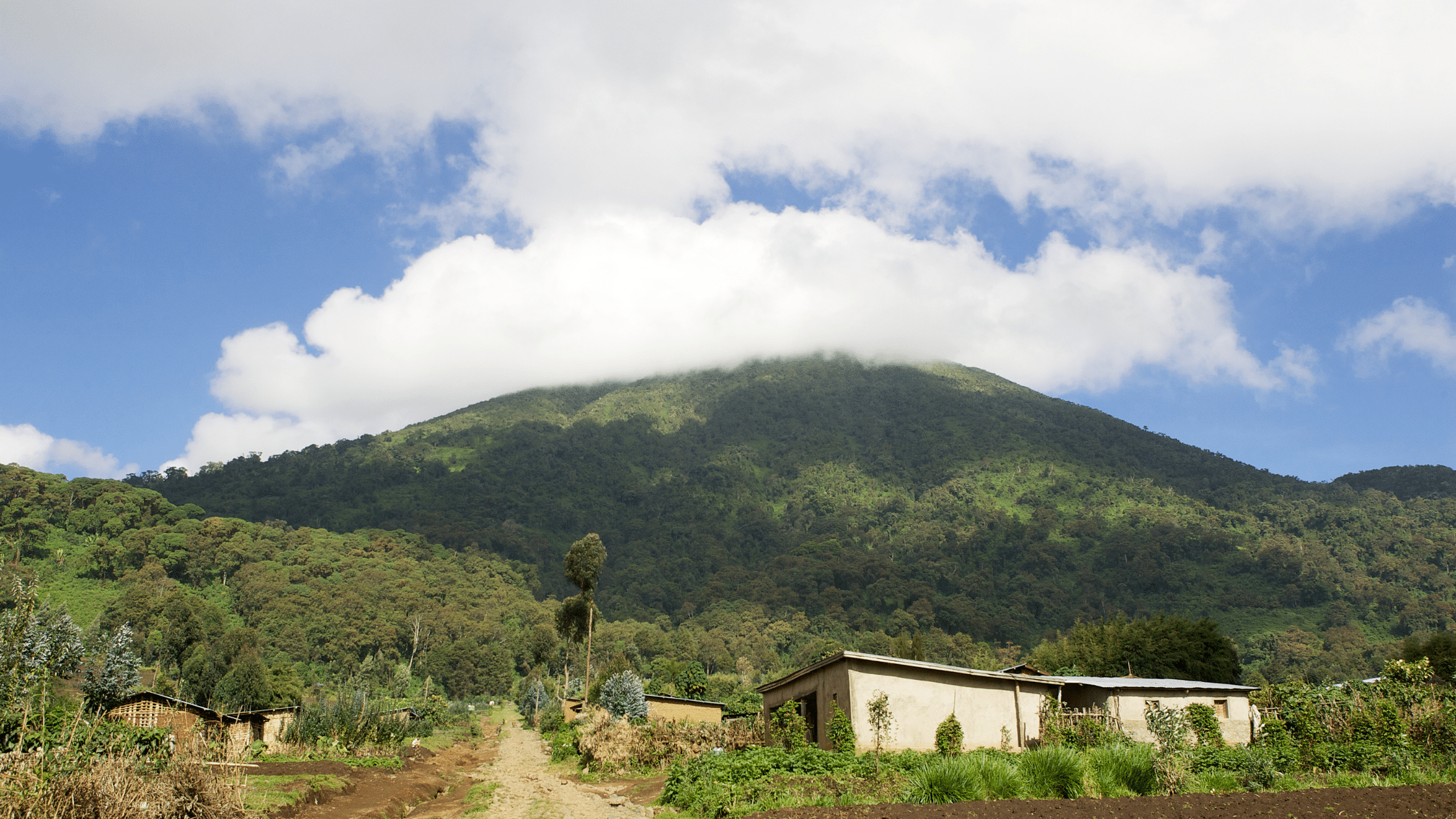 Mount Bisoke in Rwanda