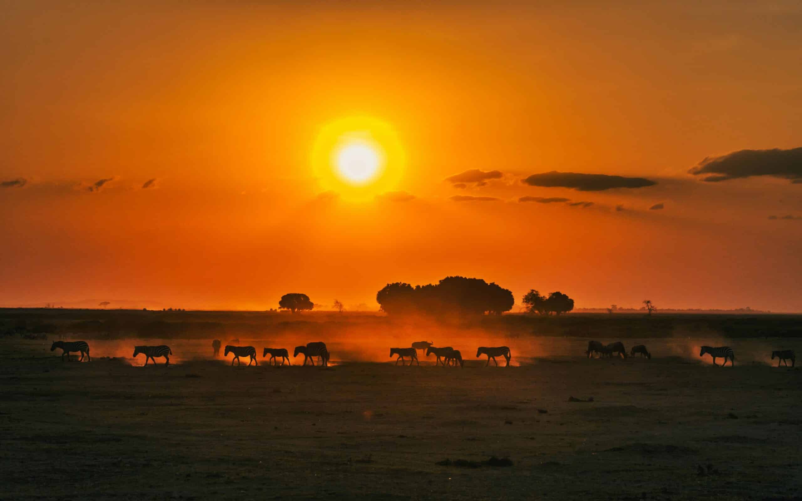 sunset on the bush-explore-kenya-travel with la french