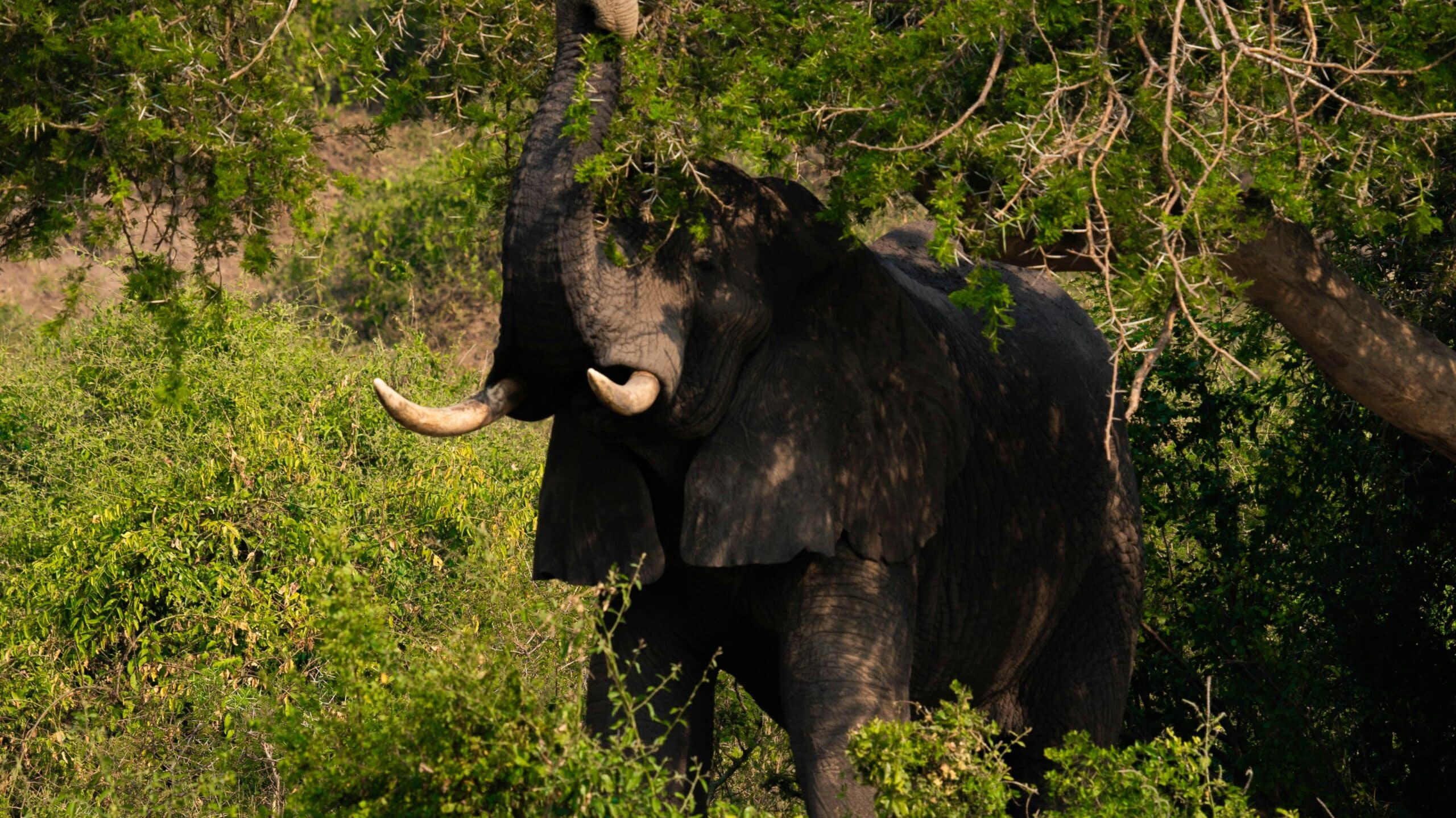 2h-media-HxSj8yZccK8-unsplash