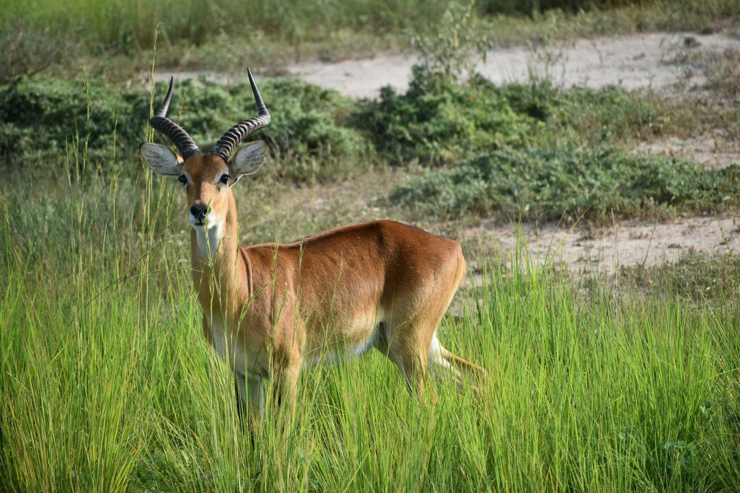 alex-kraft-D-awyDu6K28-unsplash