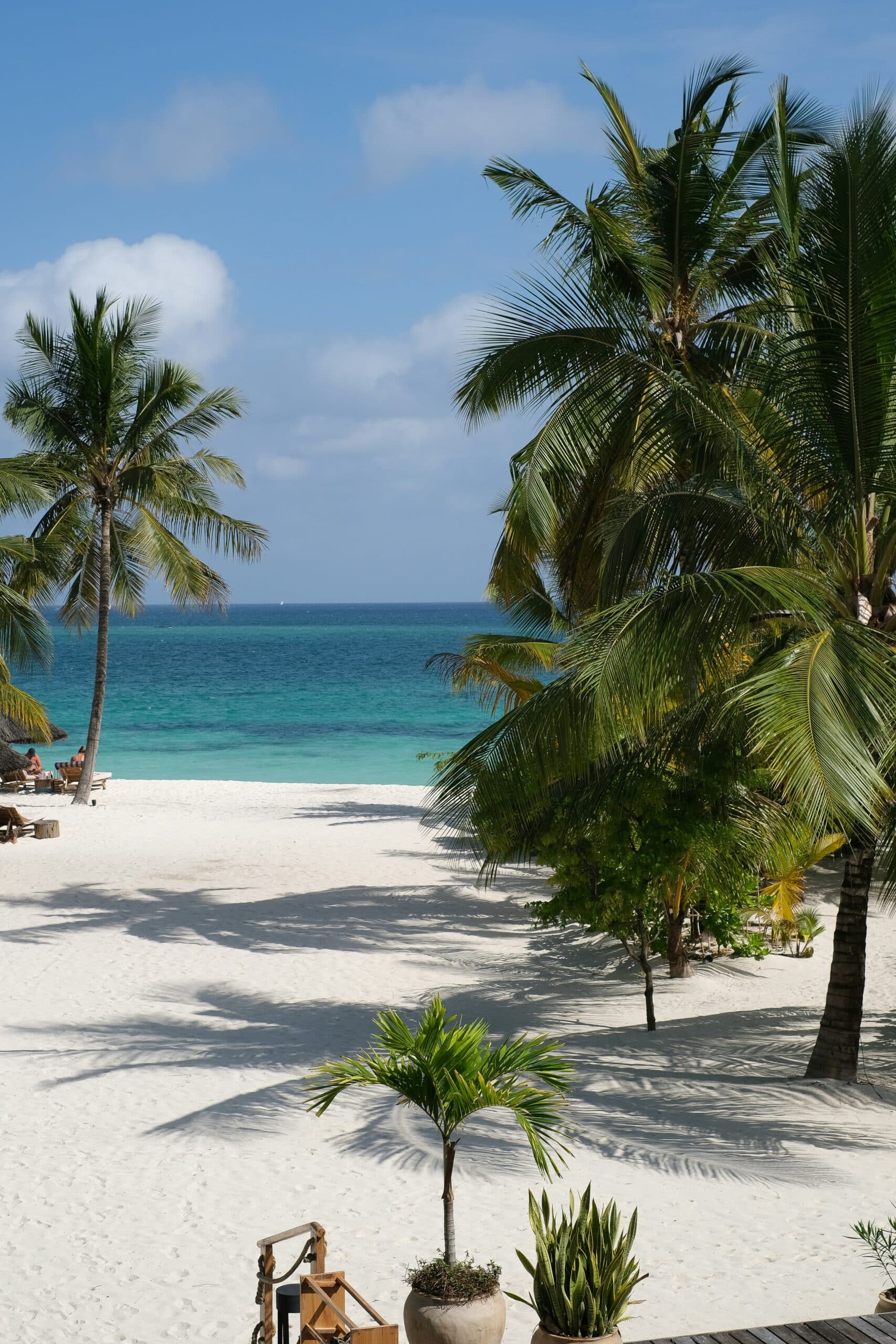 bryony-elena-0c1zBGX_CoE-unsplash