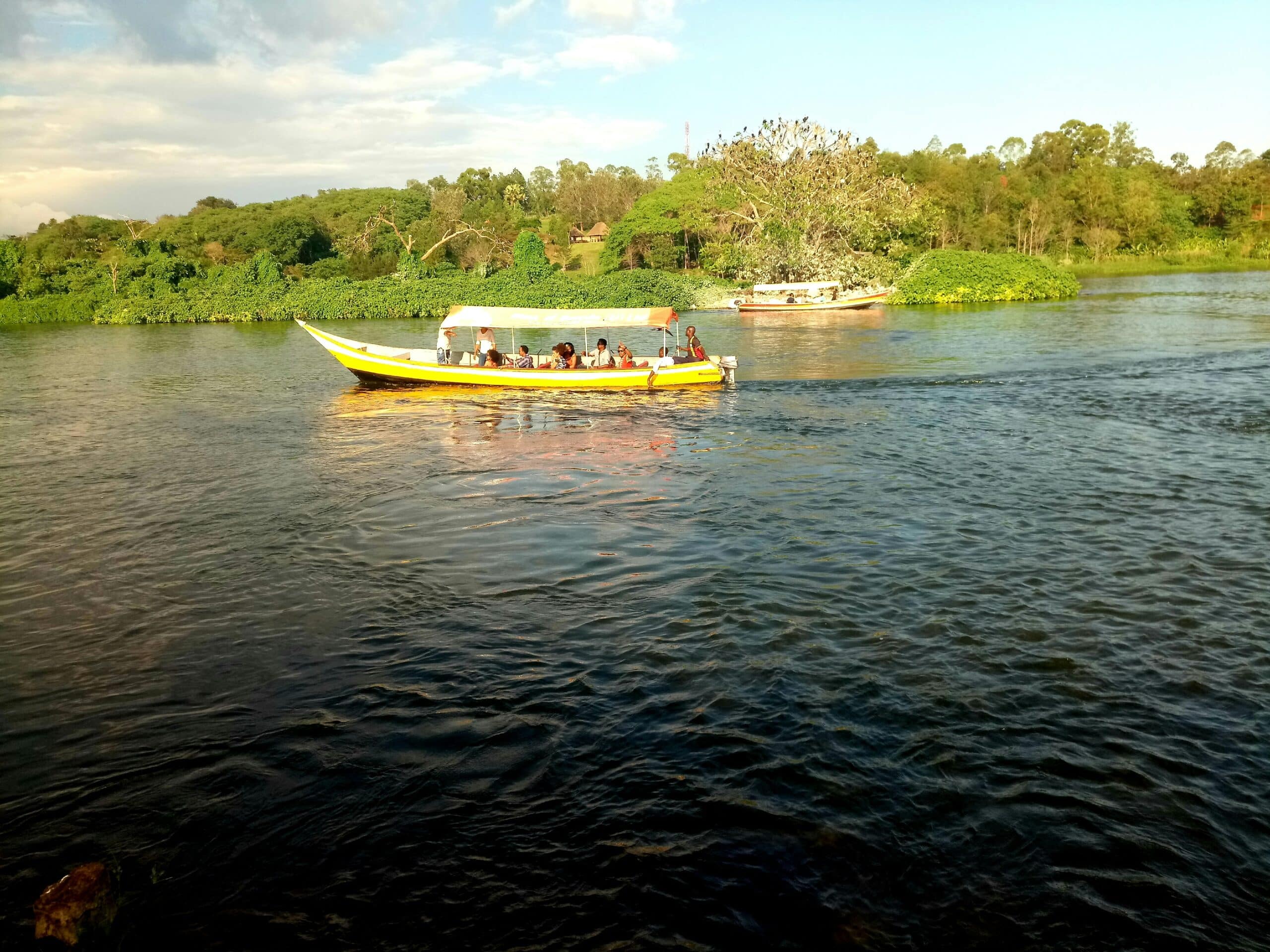 derricks-nature-book-iSGFaRTro1Q-unsplash