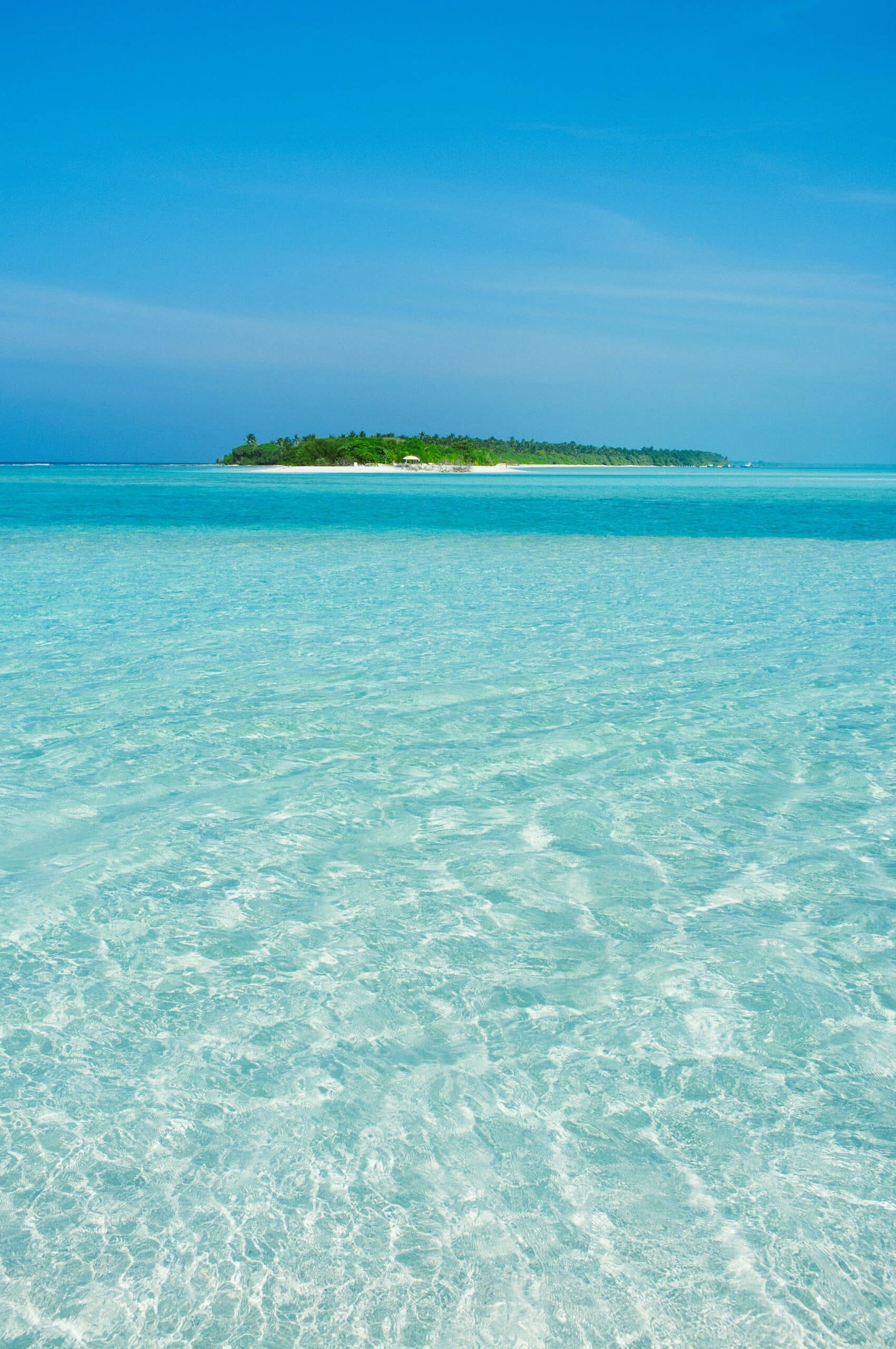 dominik-kiss-BvjpUaPRJBo-unsplash