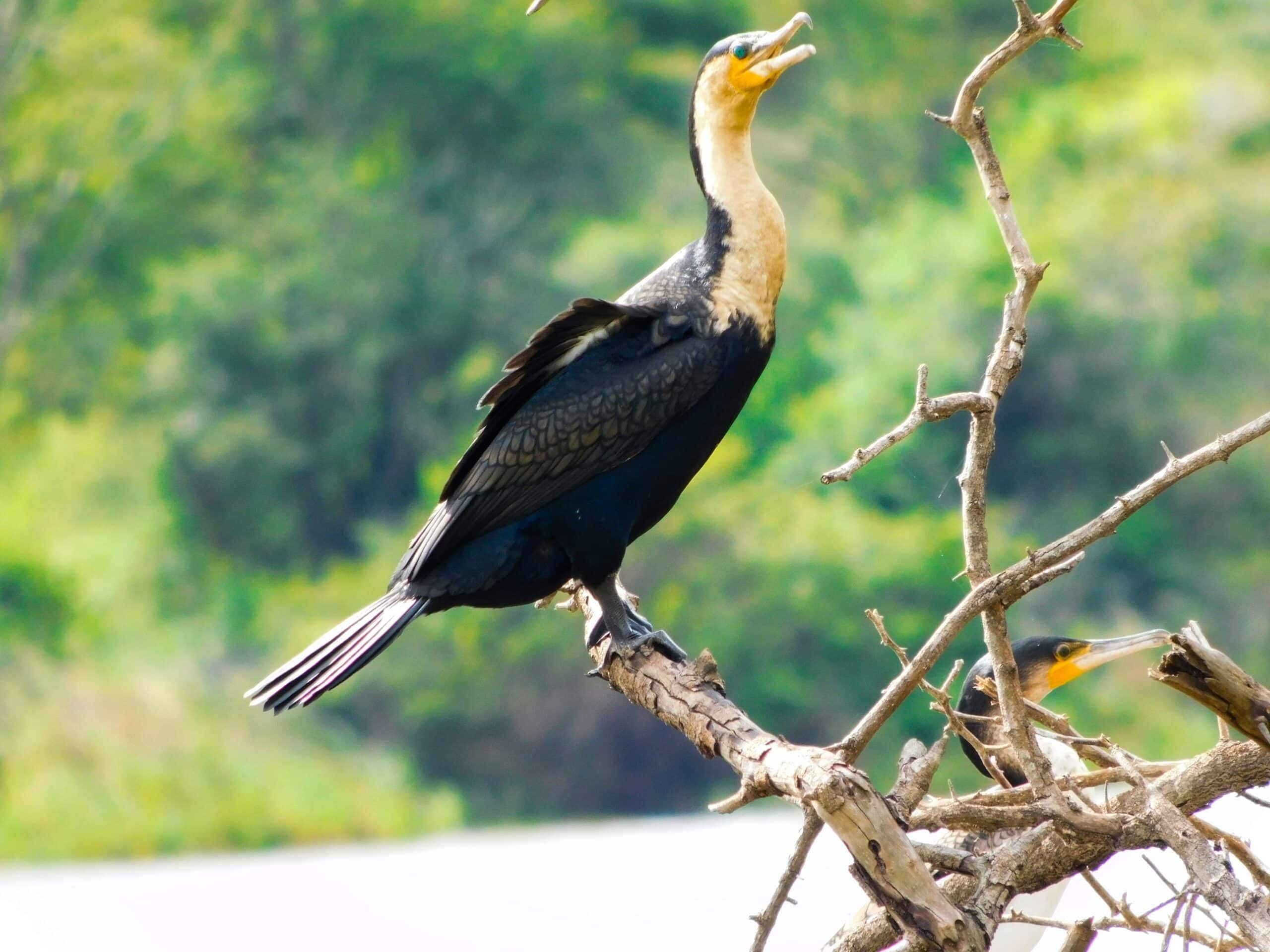 emmy-shingiro-Y0p4mI6tet8-unsplash