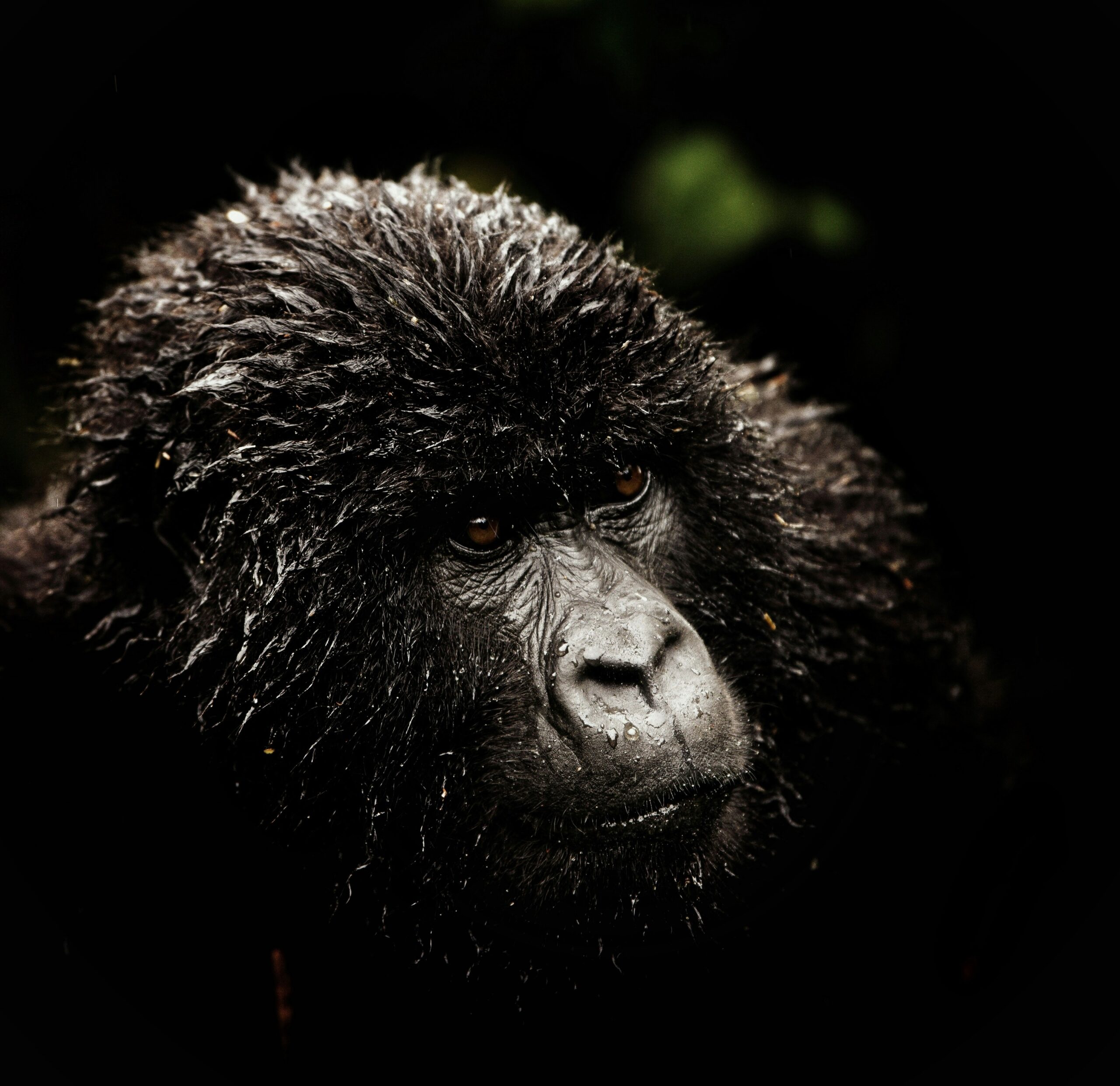 jeremy-stewardson-1HmPxC8G5uI-unsplash