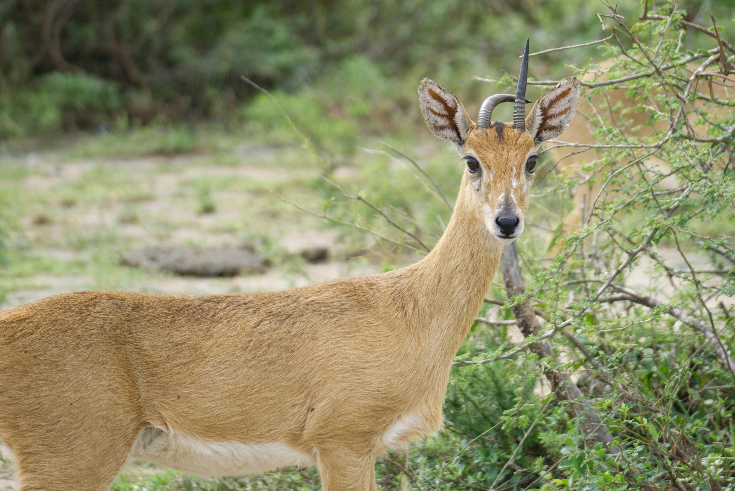 jonathan-gohner-AXirSmfgntM-unsplash