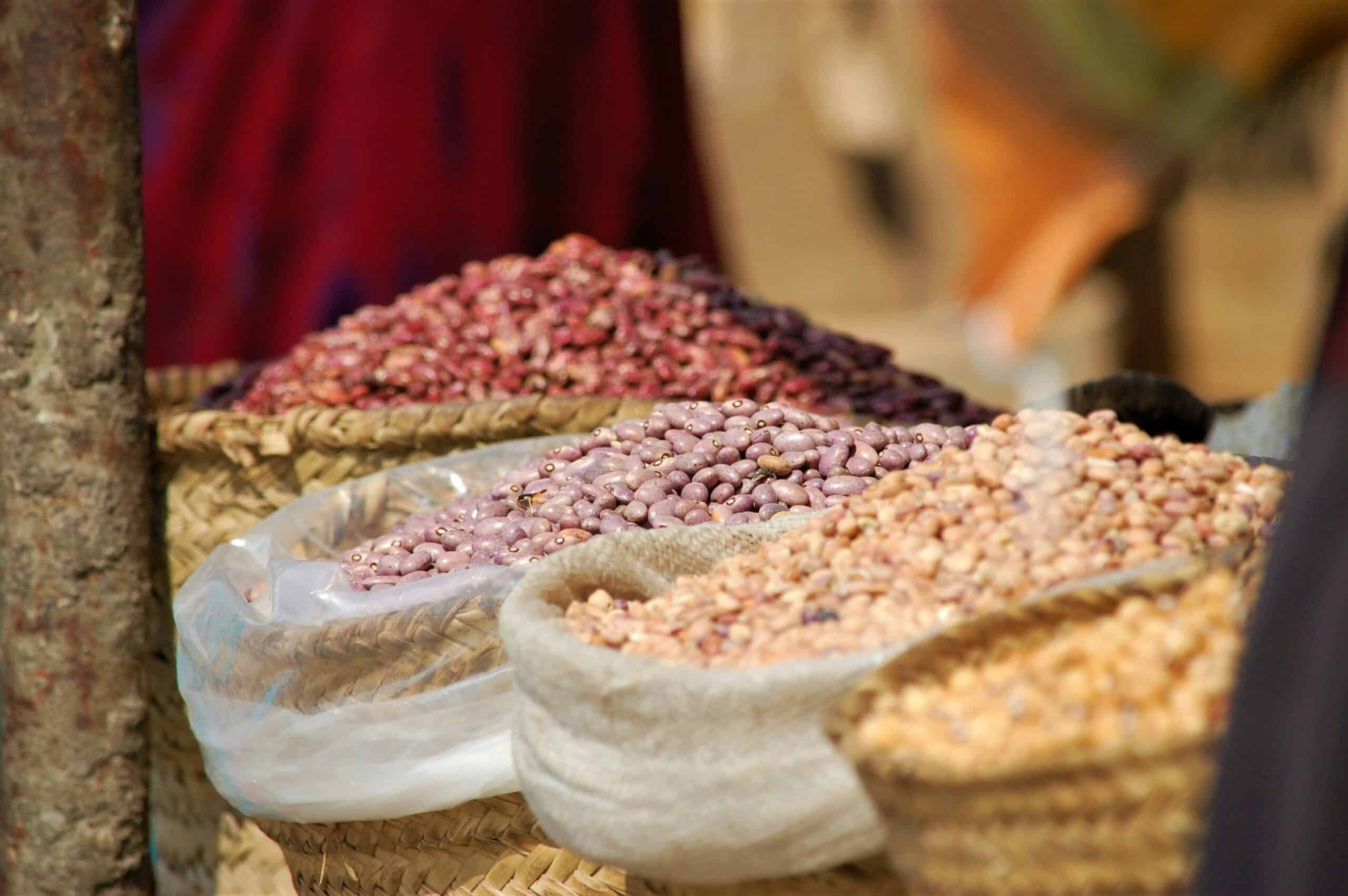 mathias-katz-OO80NEASqFM-unsplash