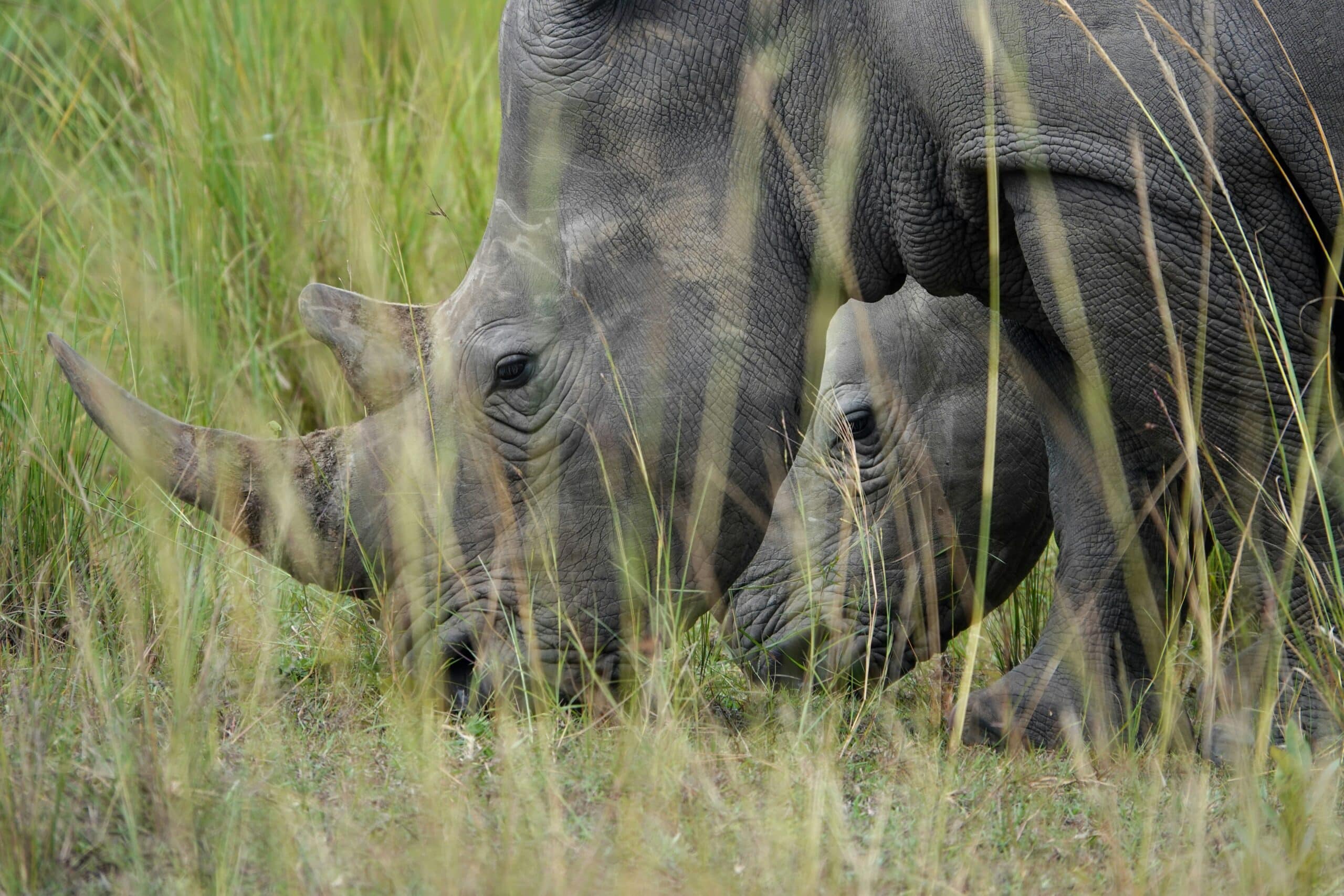 nathalie-lays-n_UwX09RV_M-unsplash