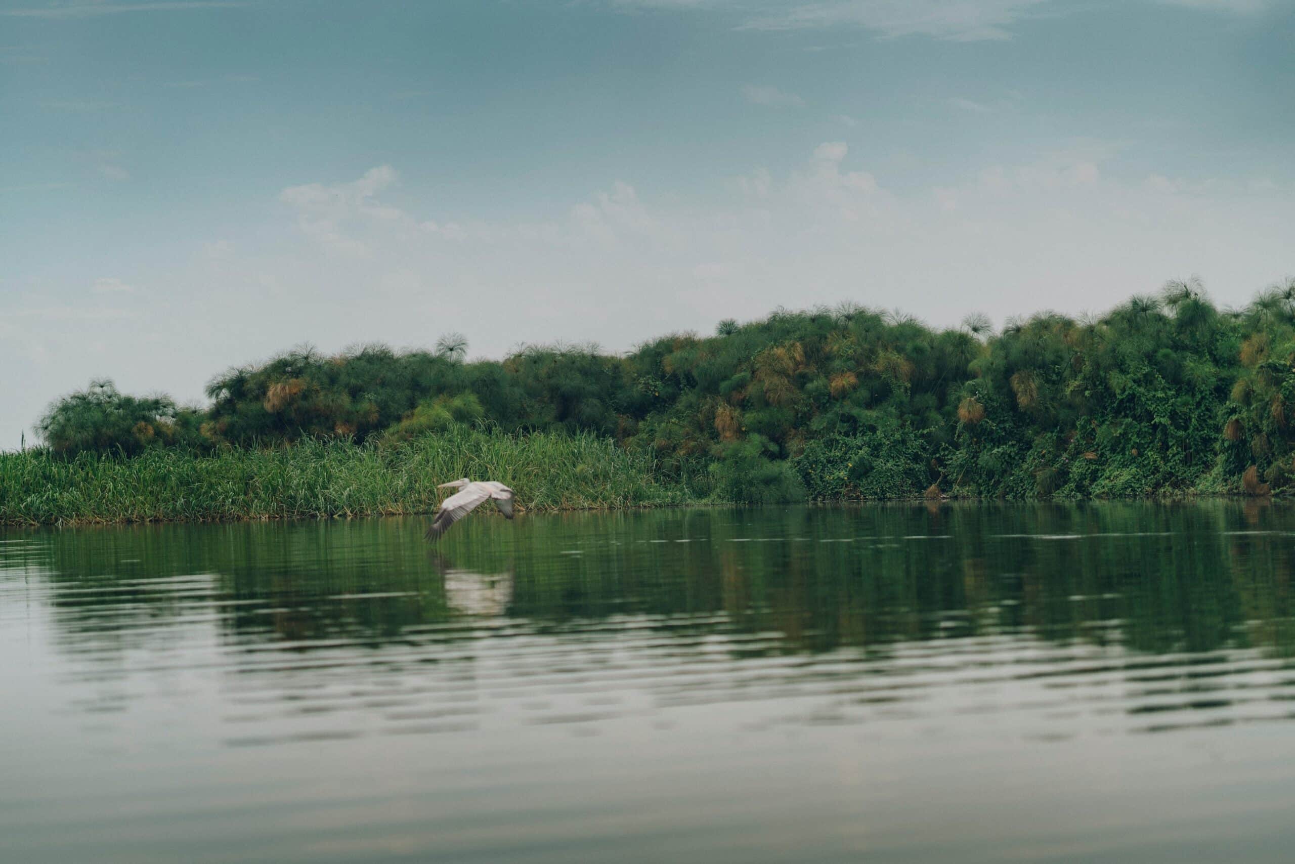 random-institute-VoqMYdCNa90-unsplash