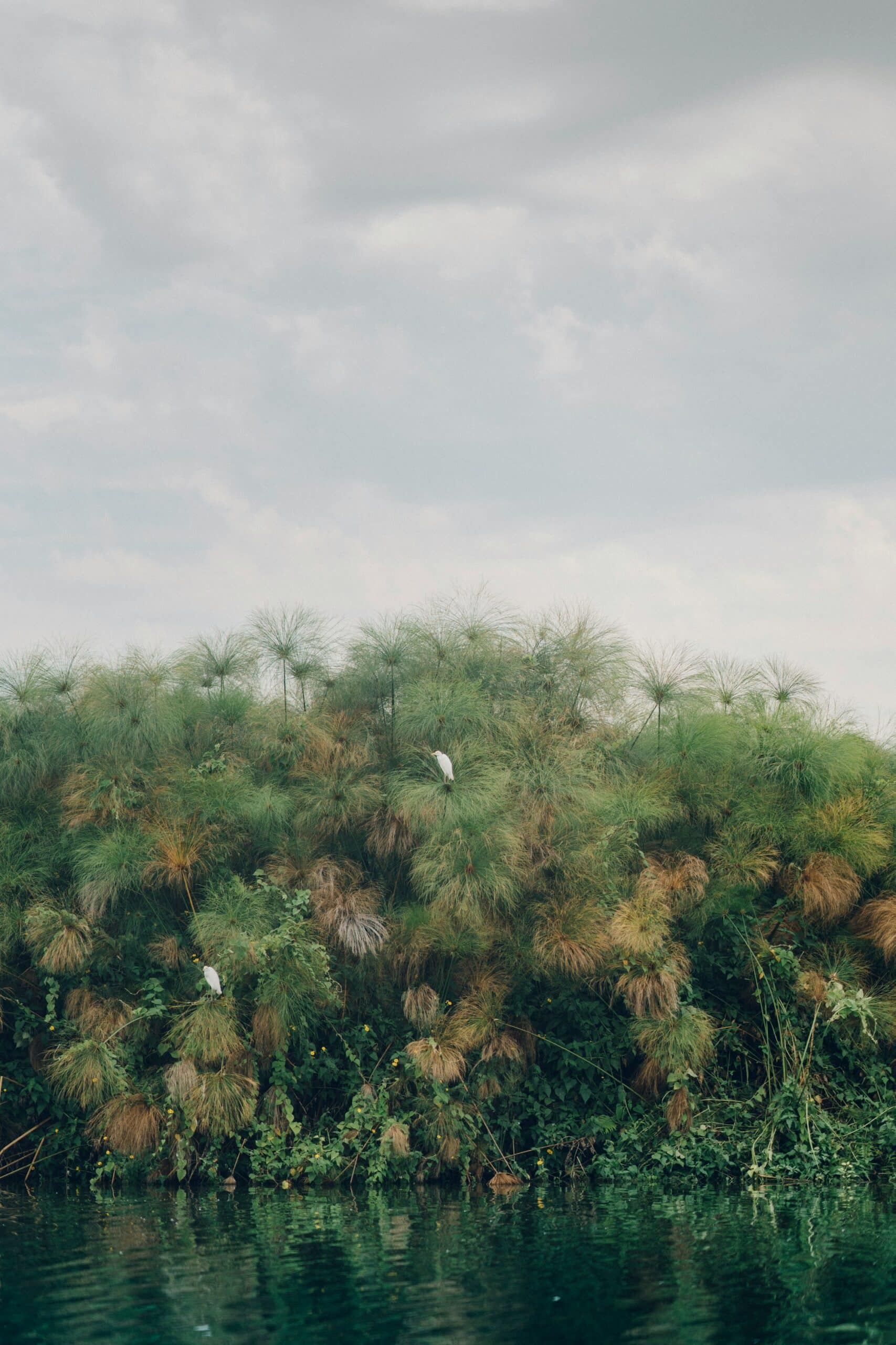 random-institute-mFKcTTmu-Ps-unsplash