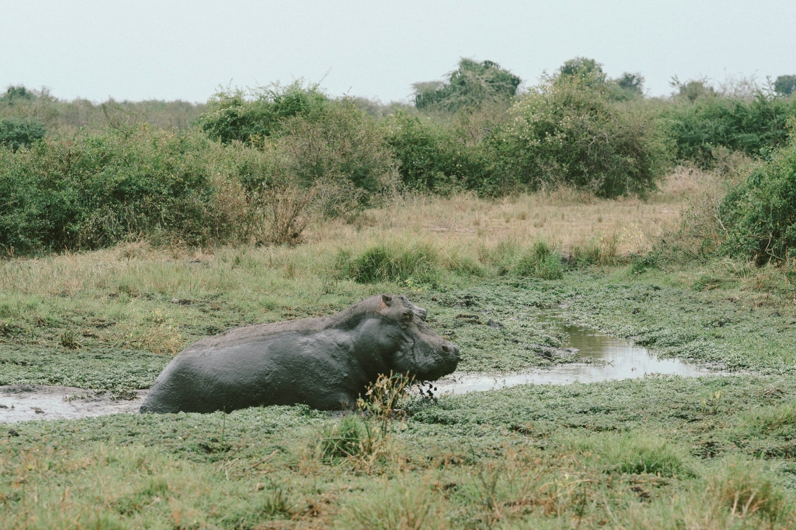 random-institute-sqf892xV-8w-unsplash