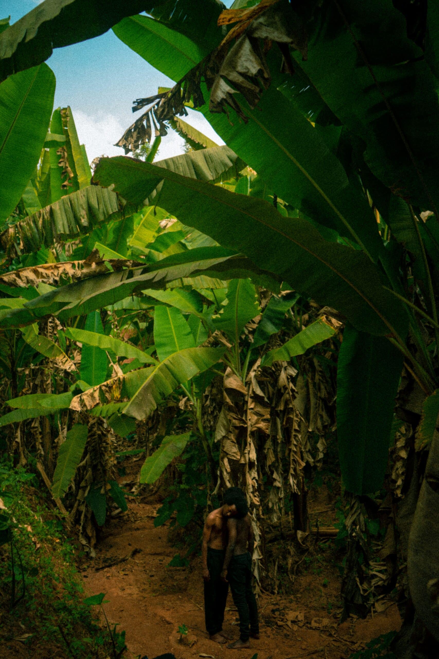 shimo-yann-LwmTXv8kpss-unsplash