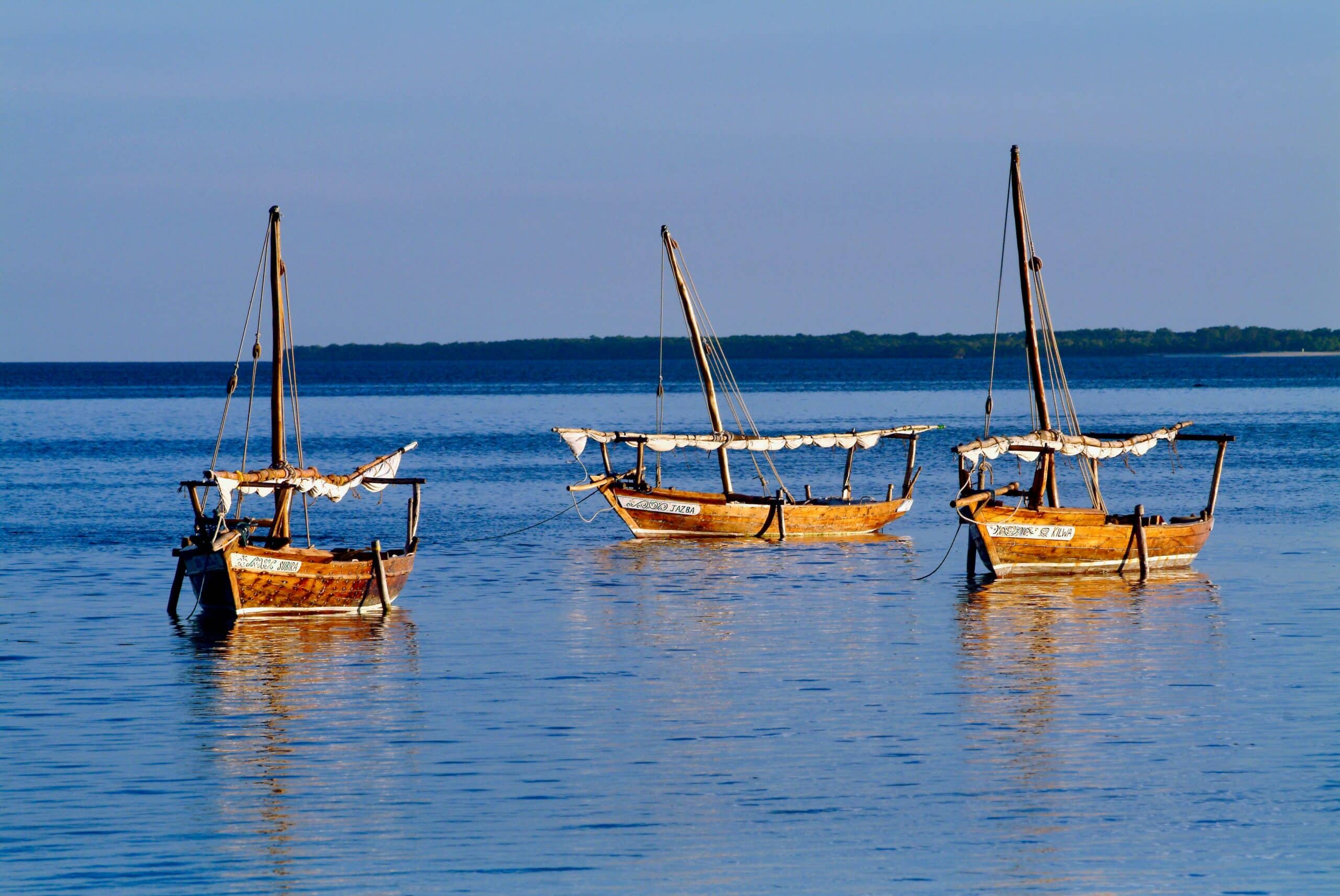 szabolcs-varnai-OW-5cetuo54-unsplash