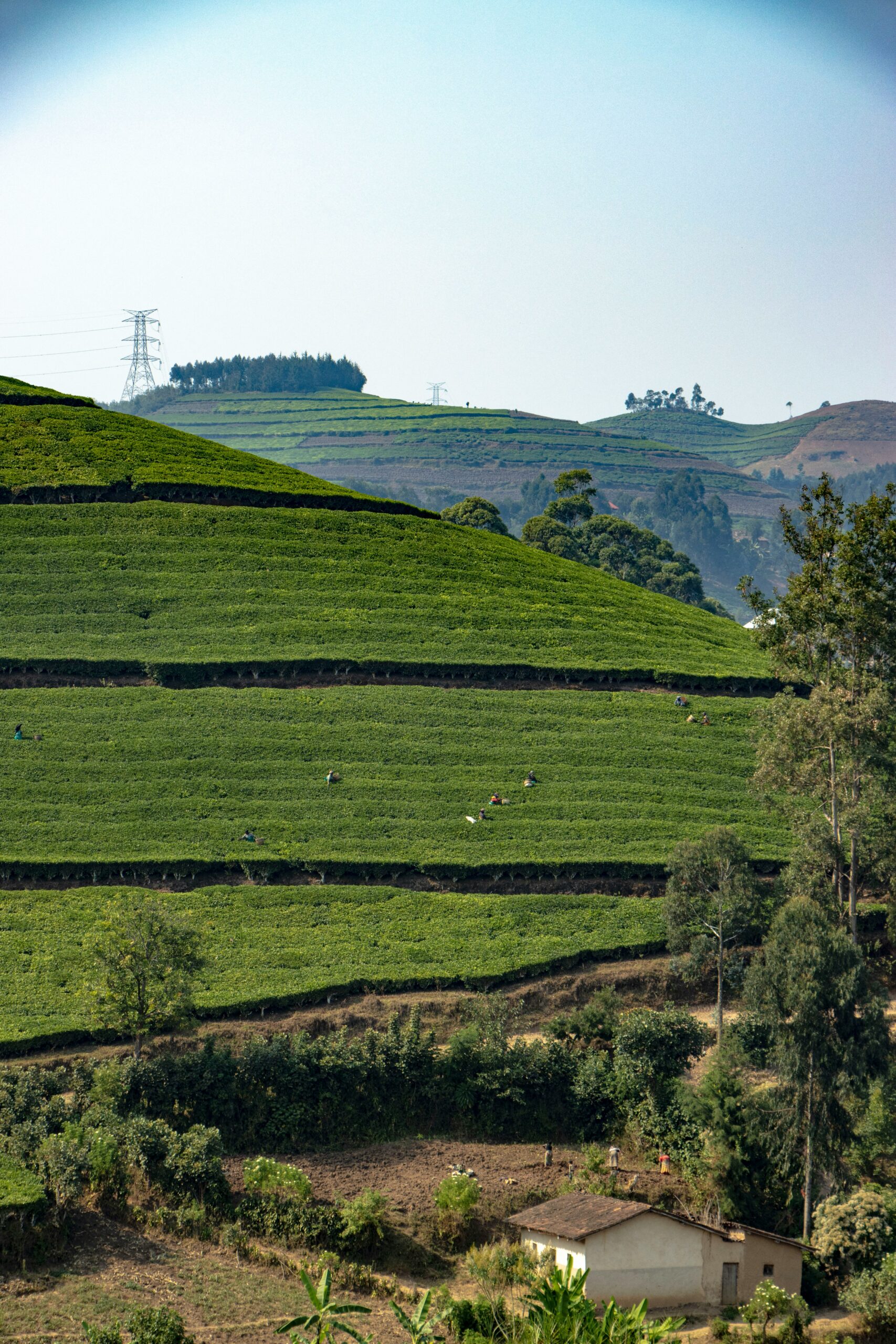 tamrat-touloumon-2_NvpmYA8Mc-unsplash