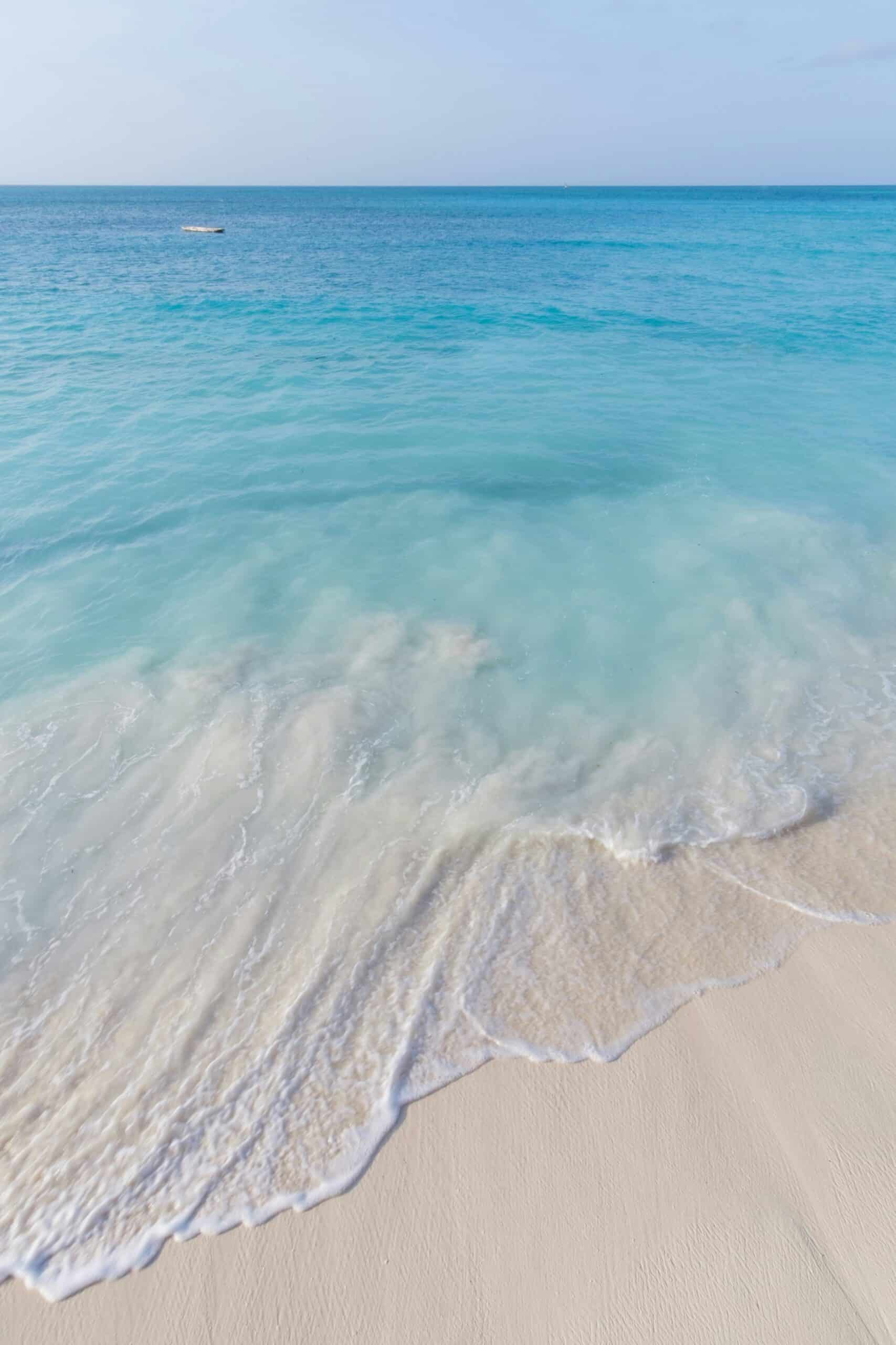 teodor-kuduschiev-wYd8iBGKFKo-unsplash