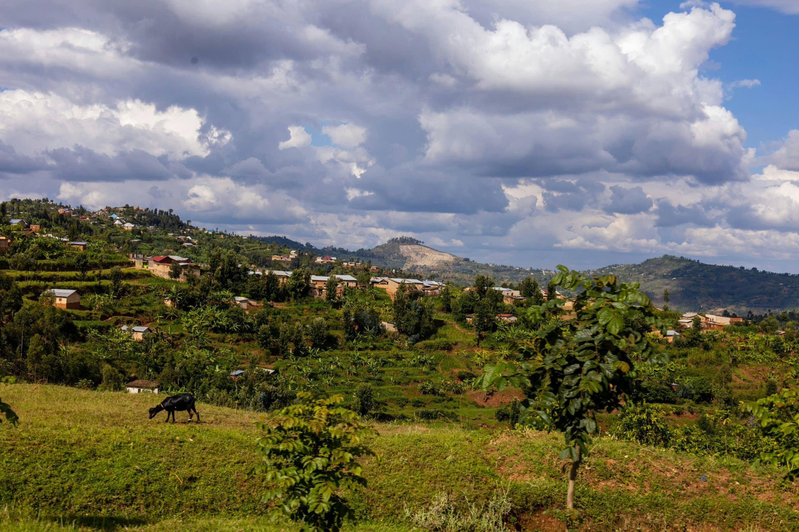 tobias-doering-u7mUyepYTlA-unsplash