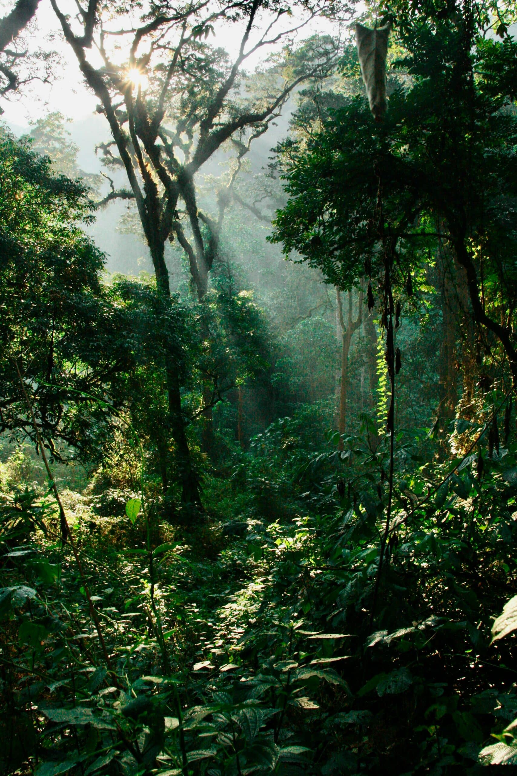 william-pietermans-vQNEm_BTNi4-unsplash