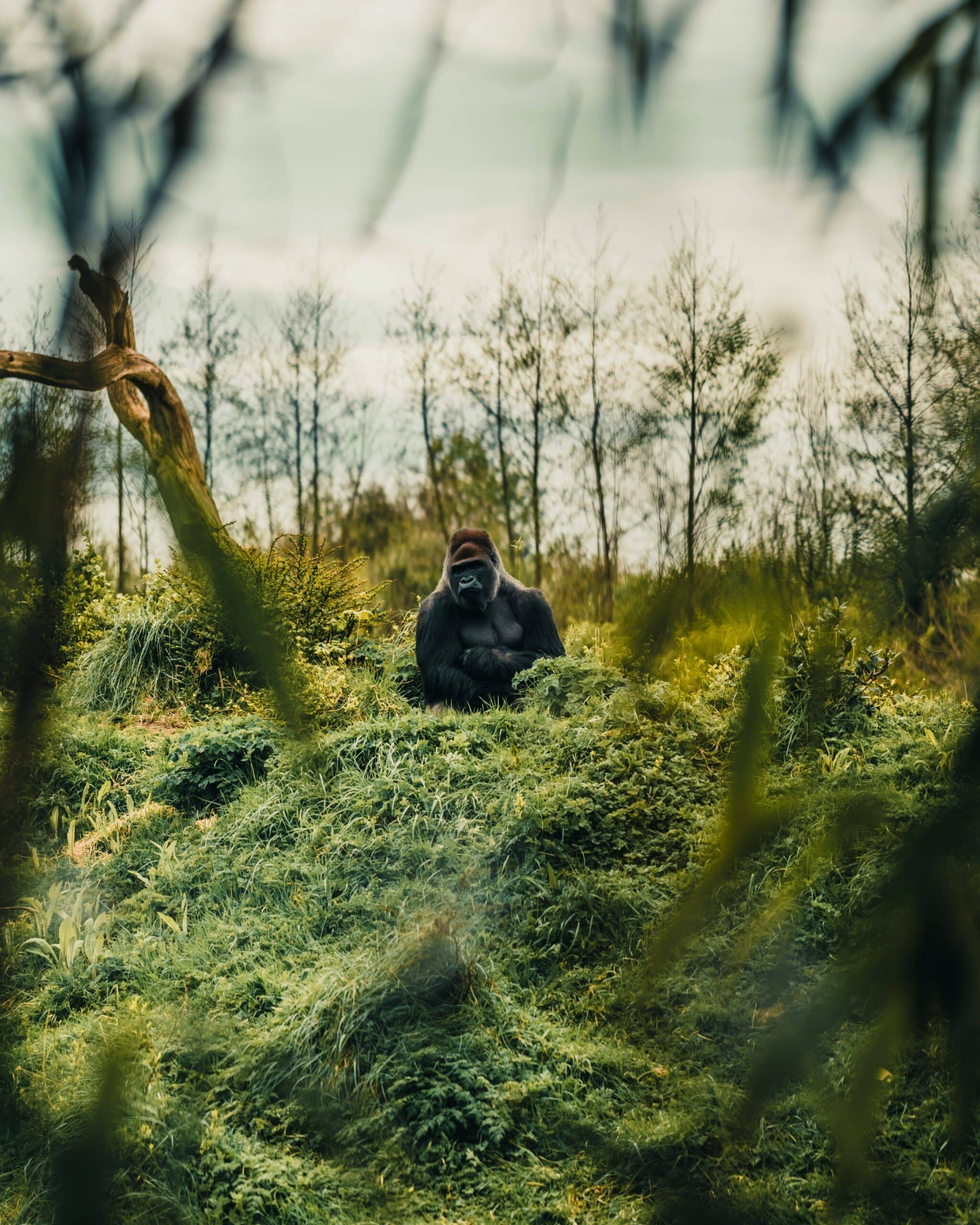 xenon-M4QaiWoQ4x8-unsplash